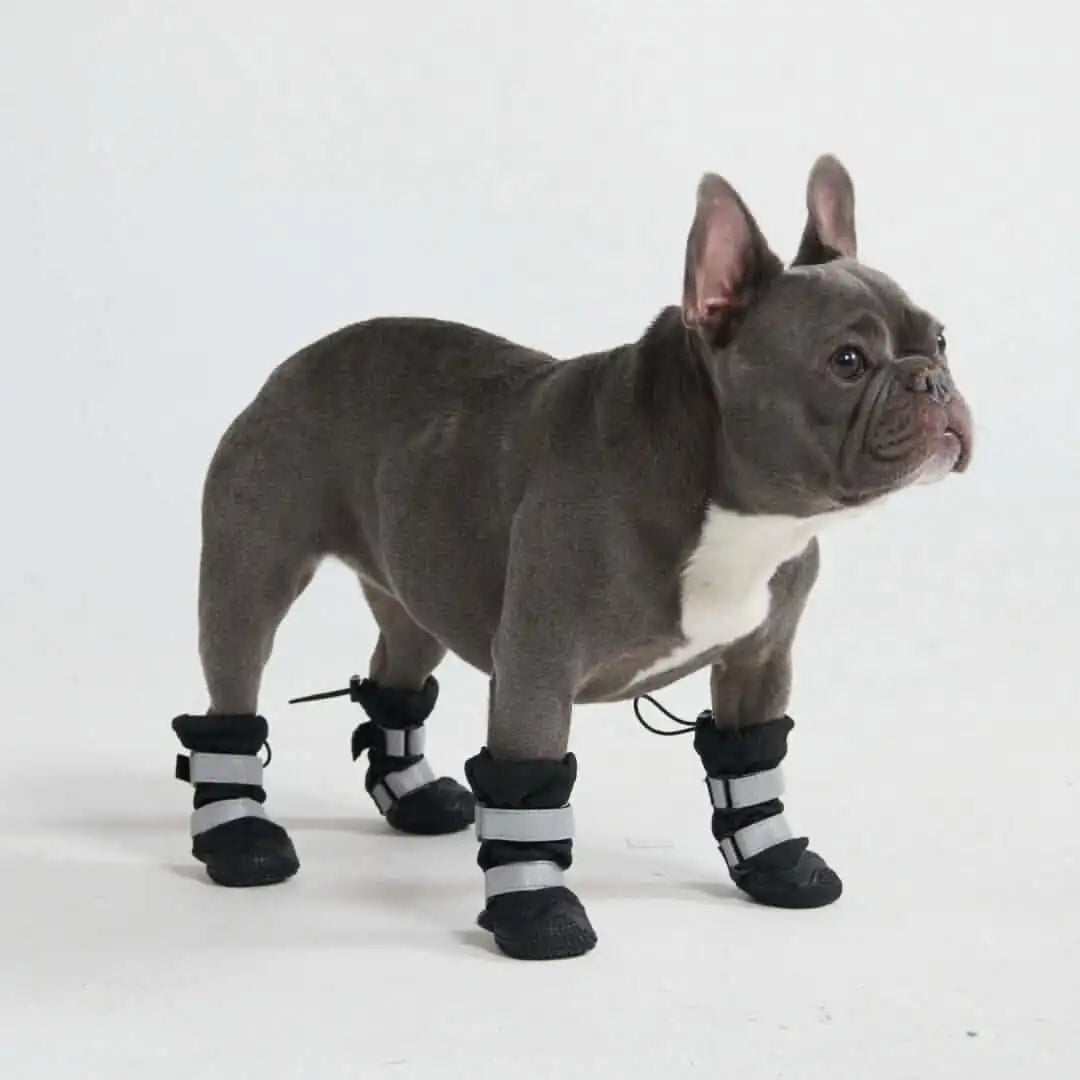 Dog Rainboots, Waterproof Dog Shoes