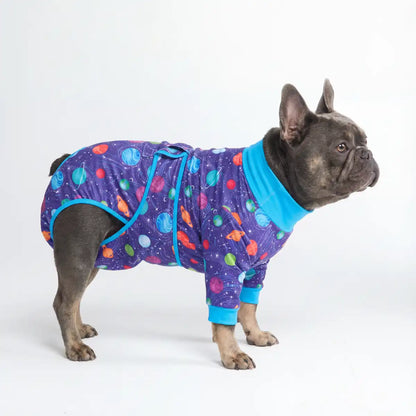 Dog Surgical Suit