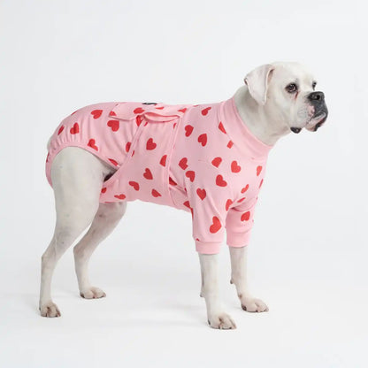 Dog Surgical Suit