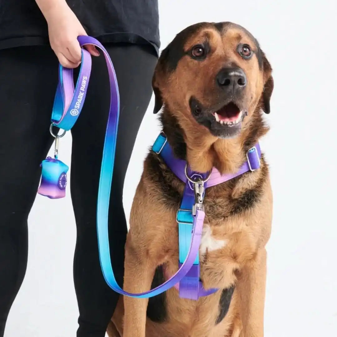 Leash and Poop Bag Holder Set