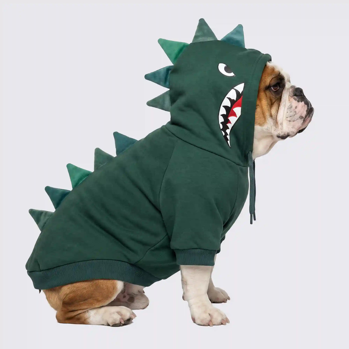 Halloween Dog Hoodie - Dinosaur (2)