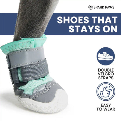 Hot Pavement Pawtector Dog Shoes