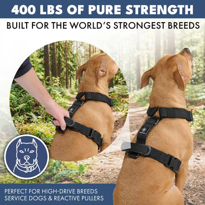 Comfort Control No-Pull Harness Sets