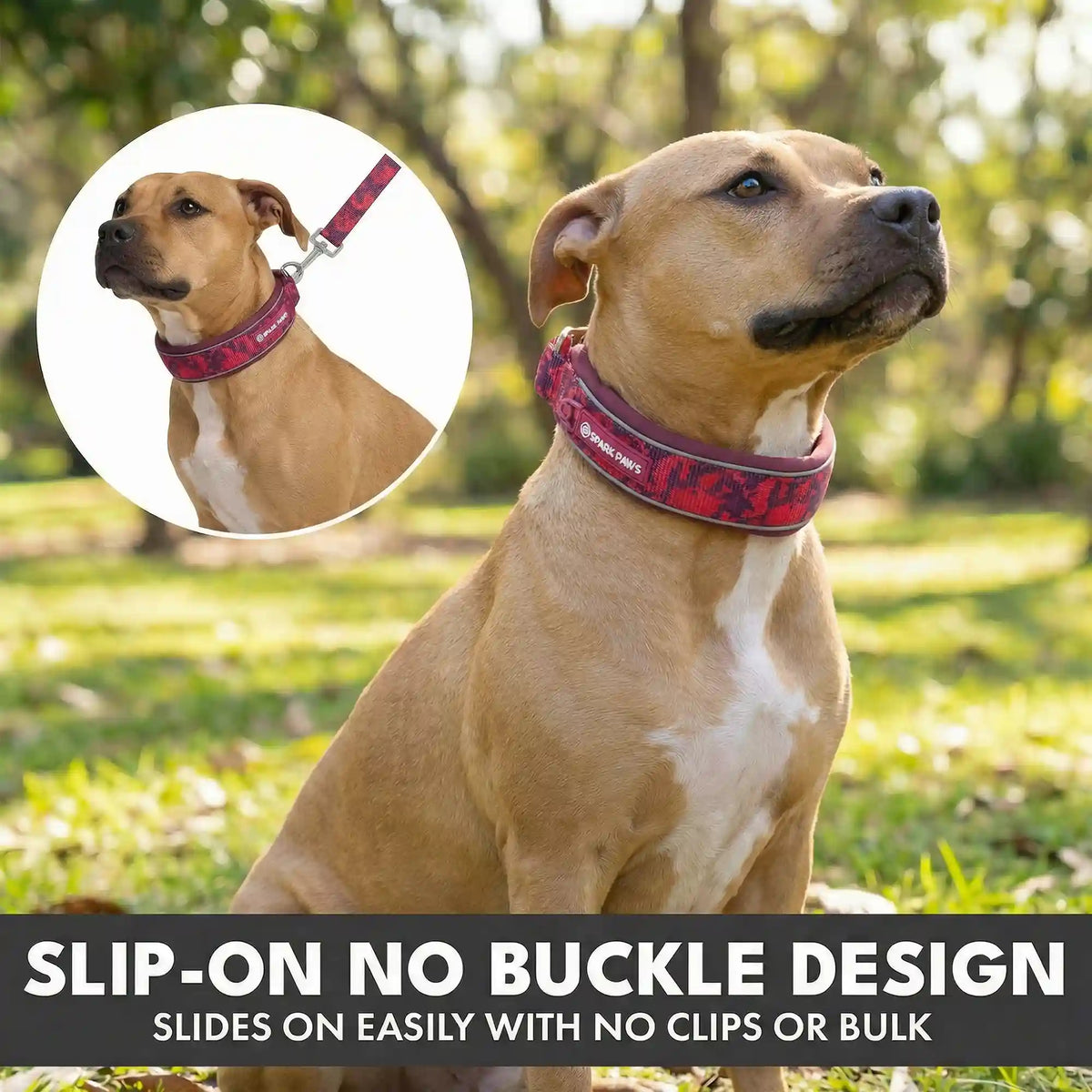 Martingale Collar and Multipurpose Leash Sets