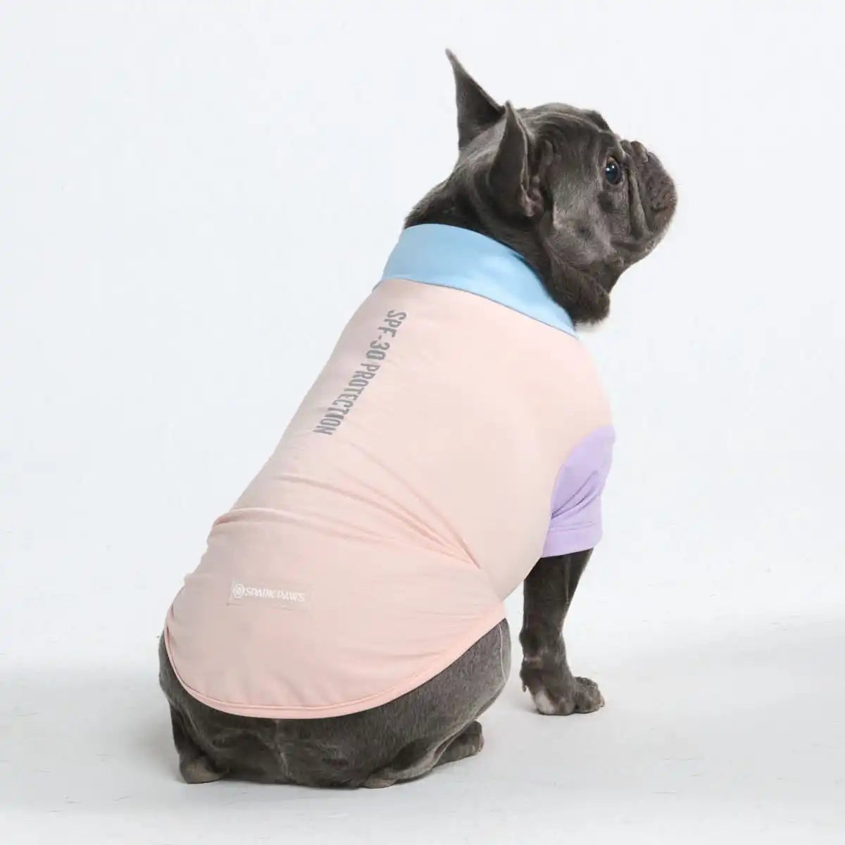 Sunblock Dog T-Shirt - Color Block