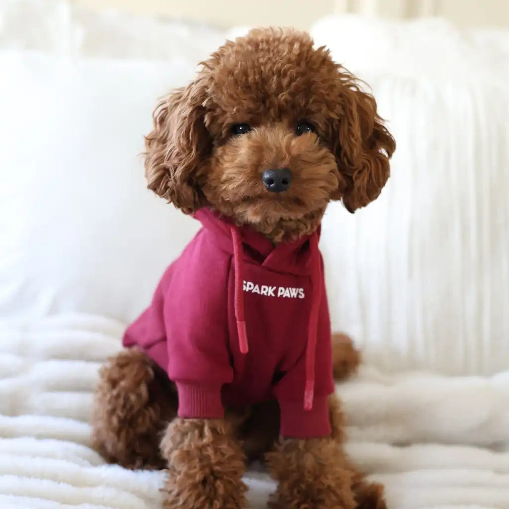 Essential Dog Hoodies