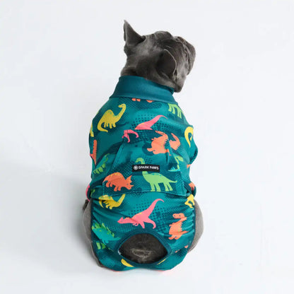 Dog Surgical Suit