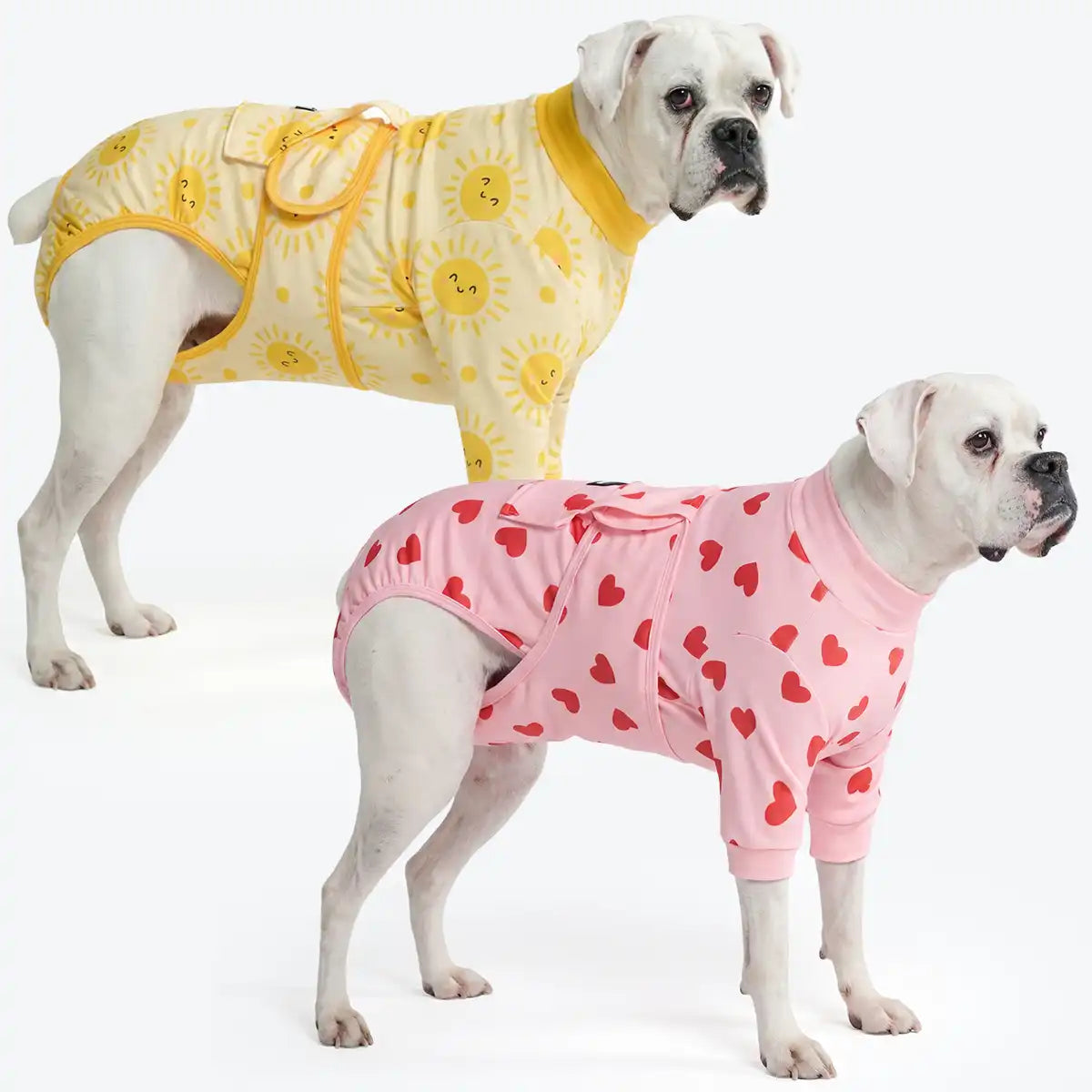 Dog Surgical Suit (2-pack) - Pink Hearts and Sunshine