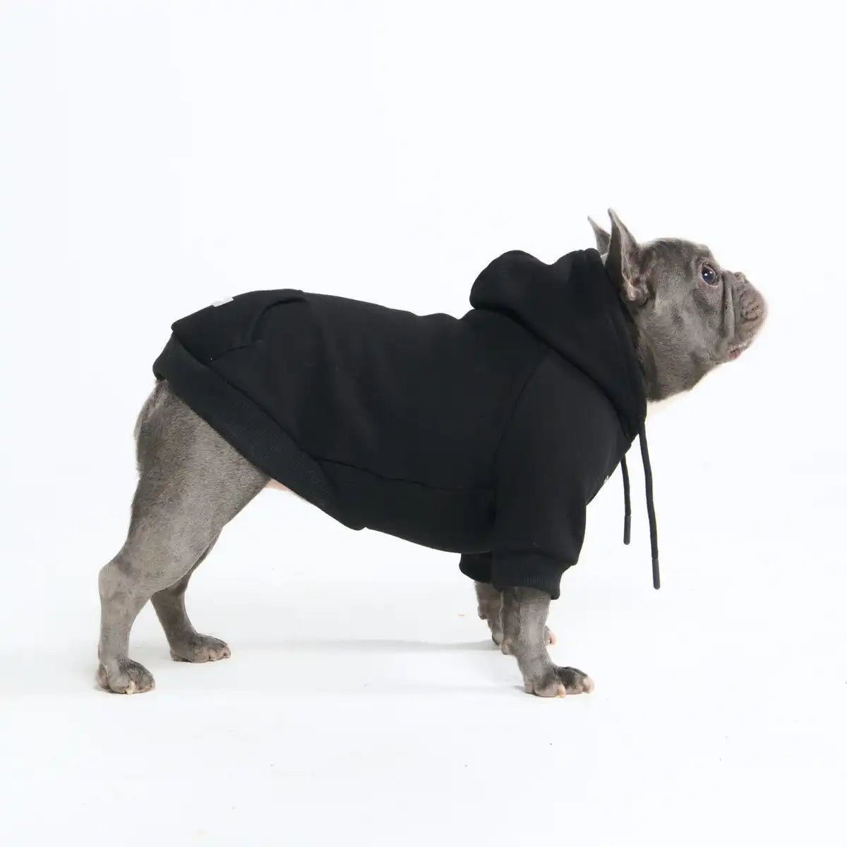 Essential Dog Hoodies