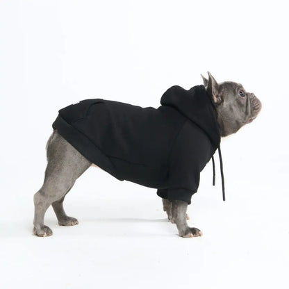 Essential Dog Hoodies
