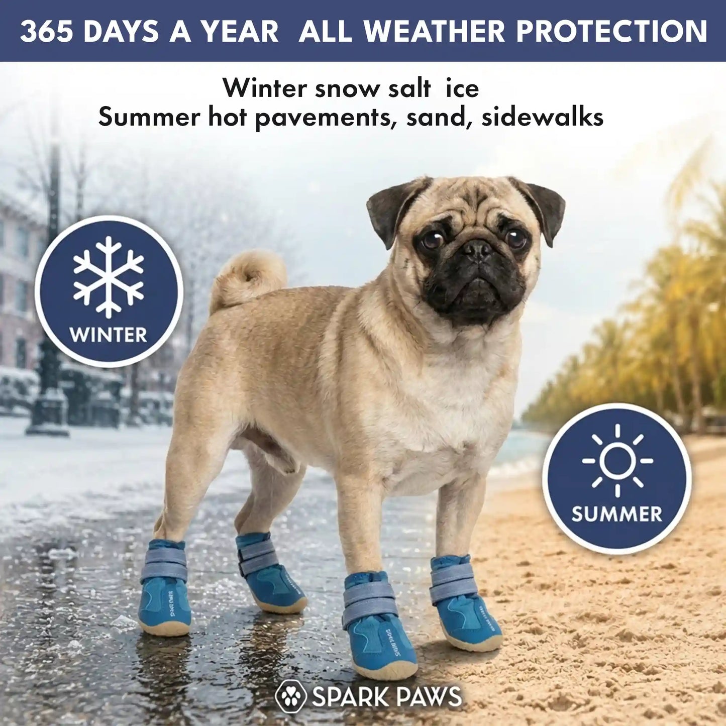 365 All-Season Dog Shoe 4PC Set