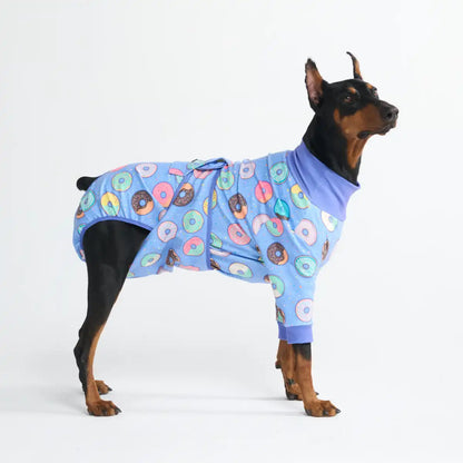 Dog Surgical Suit