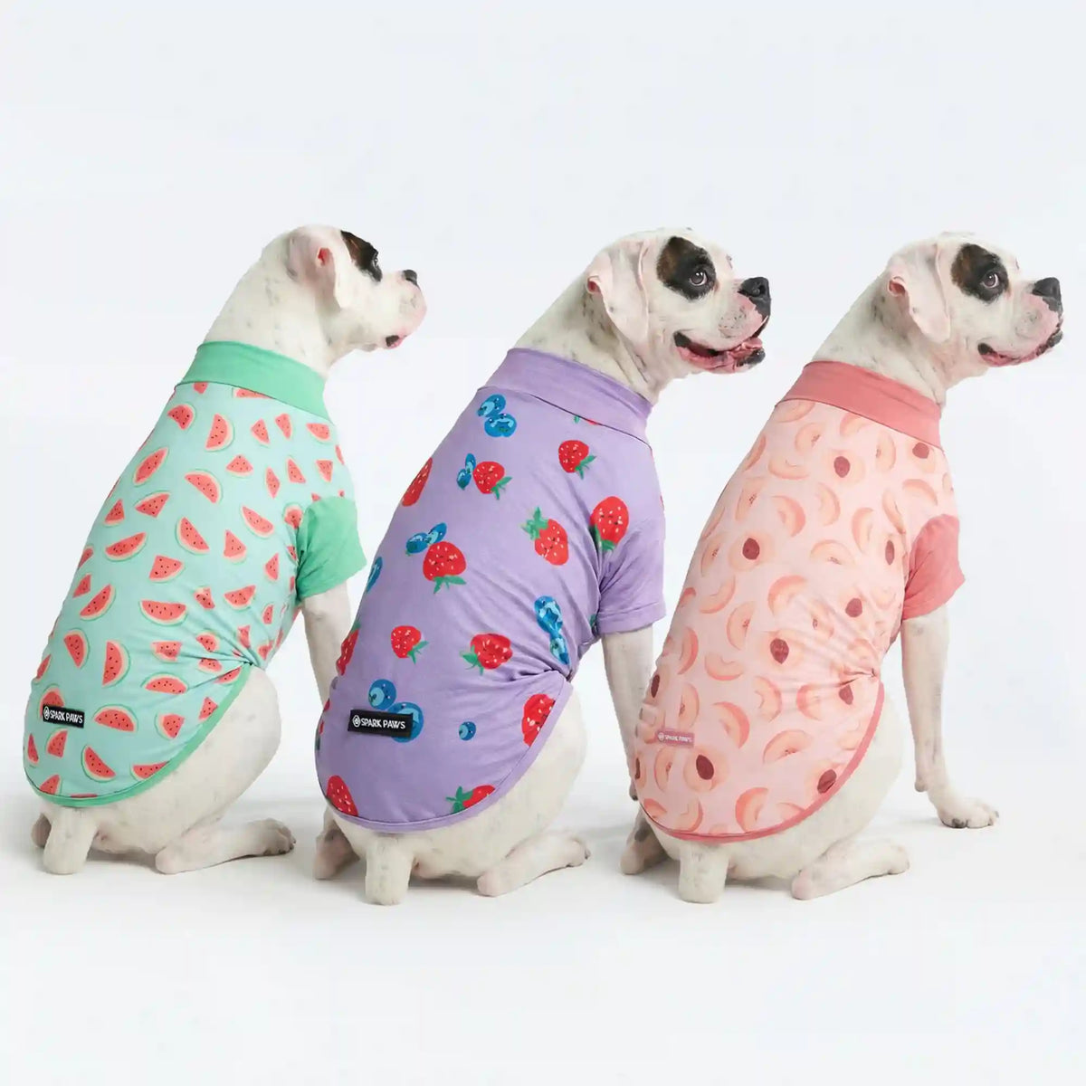 Sunblock T-Shirt 3 Pack
