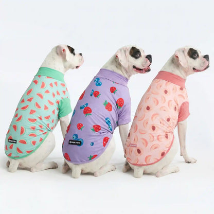 Sunblock Dog T-Shirt (3-pack) - Watermelon, Berries, Peaches
