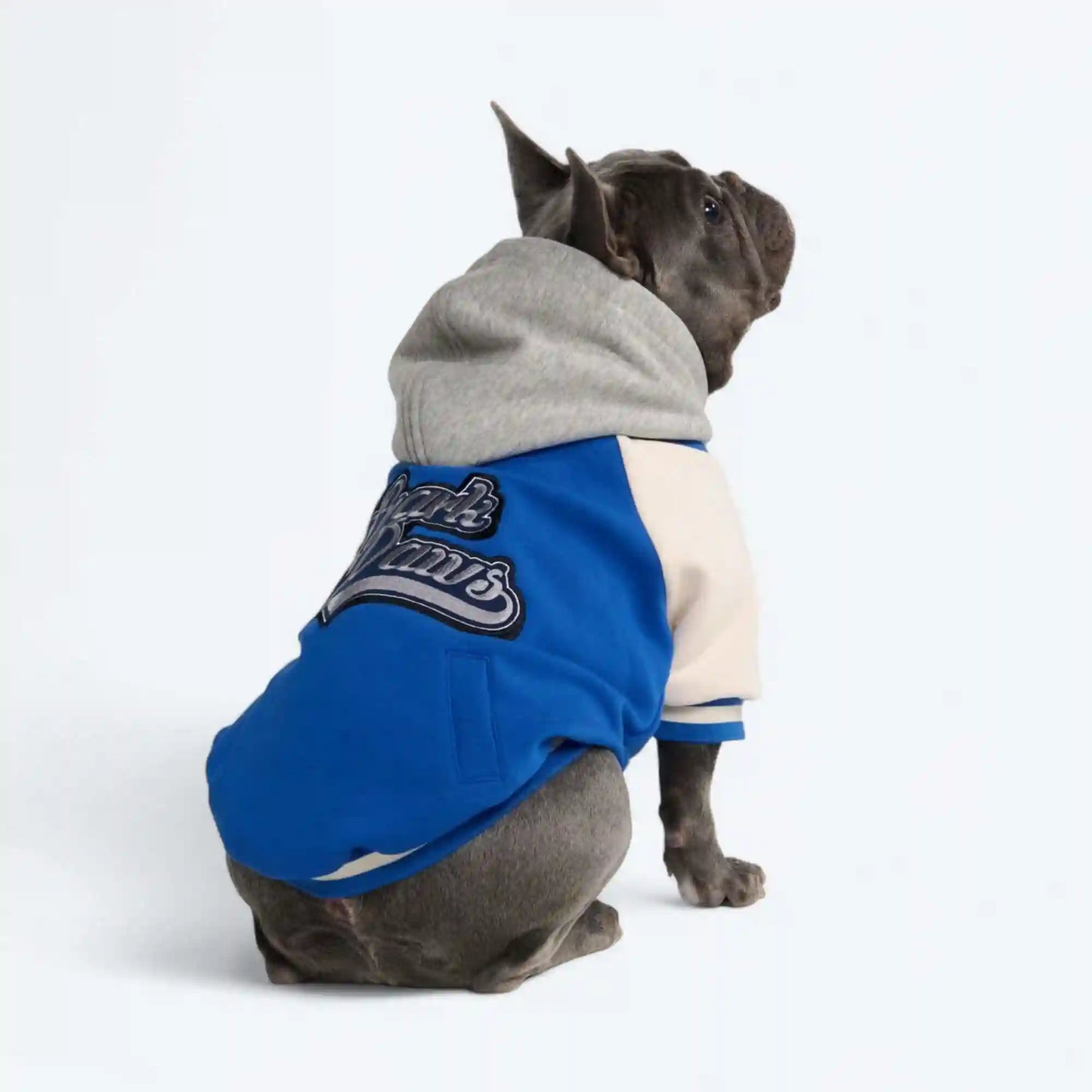 Dog Varsity Jackets