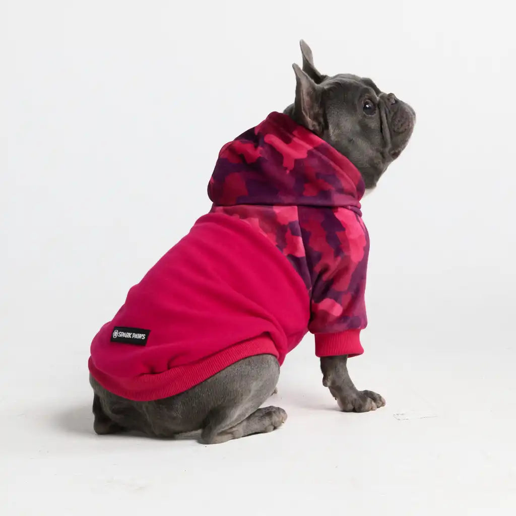 Camo Dog Hoodies
