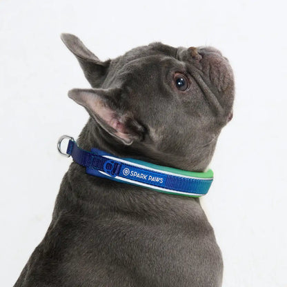 Cushioned Martingale Collars