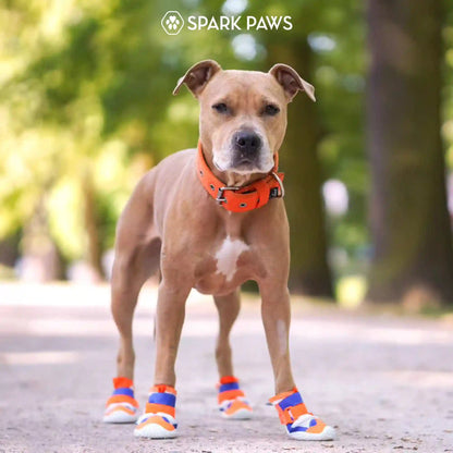 Hot Pavement Pawtector Dog Shoes
