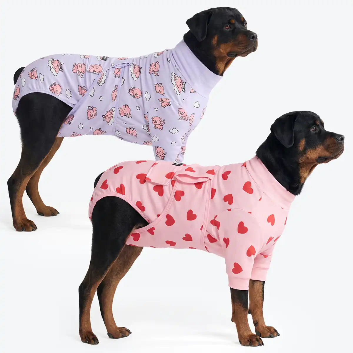 Dog Surgical Suit  2-pack
