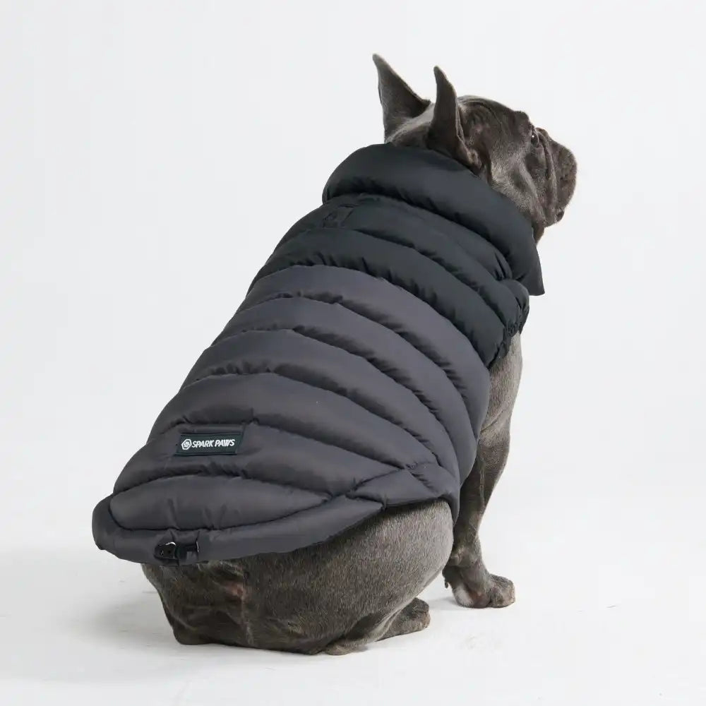 PuffShield Winter Jackets