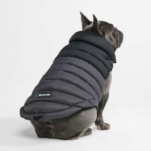 PuffShield Winter Jacket - Black