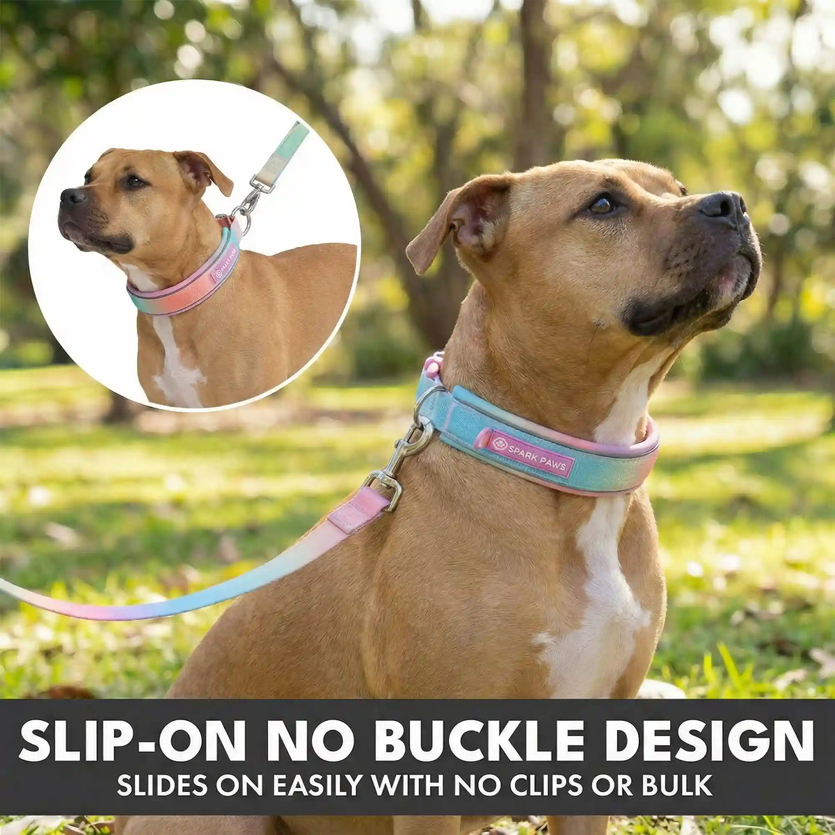 Martingale Collar and Multipurpose Leash Sets