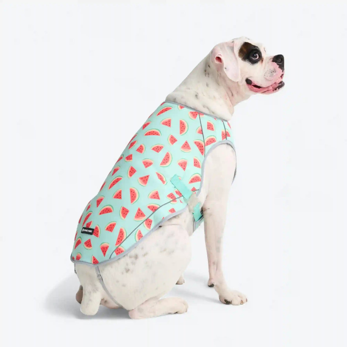 Chilltech™ Dog Cooling Vests