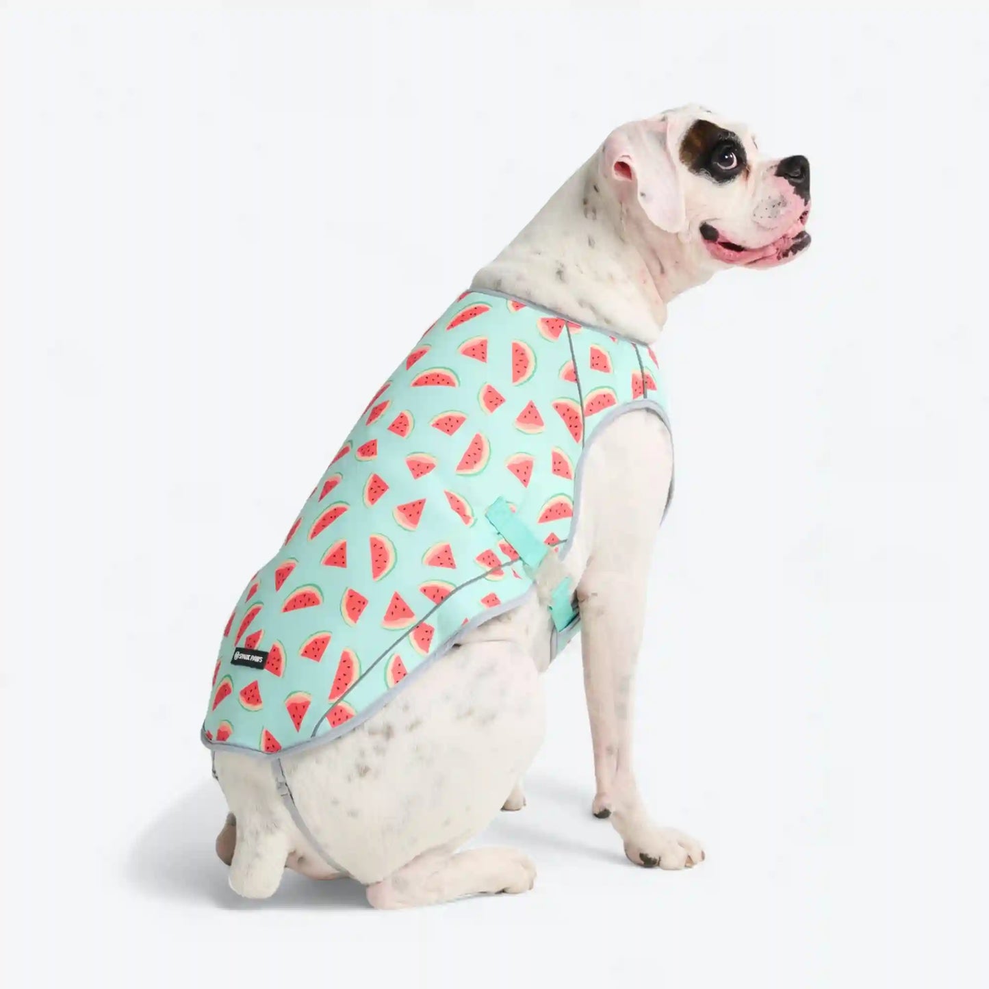 Dog Cooling Vest - Watermelon