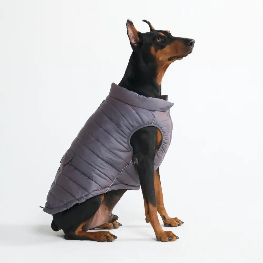 WarmShield Water-Resistant Jacket - Gunmetal Grey