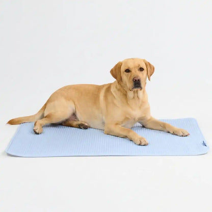 Frostcore™ Cooling Mat - Waffle Blue