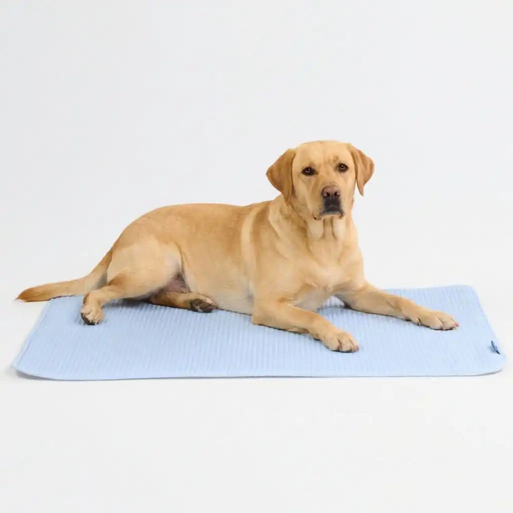 Frostcore™ Cooling Mat