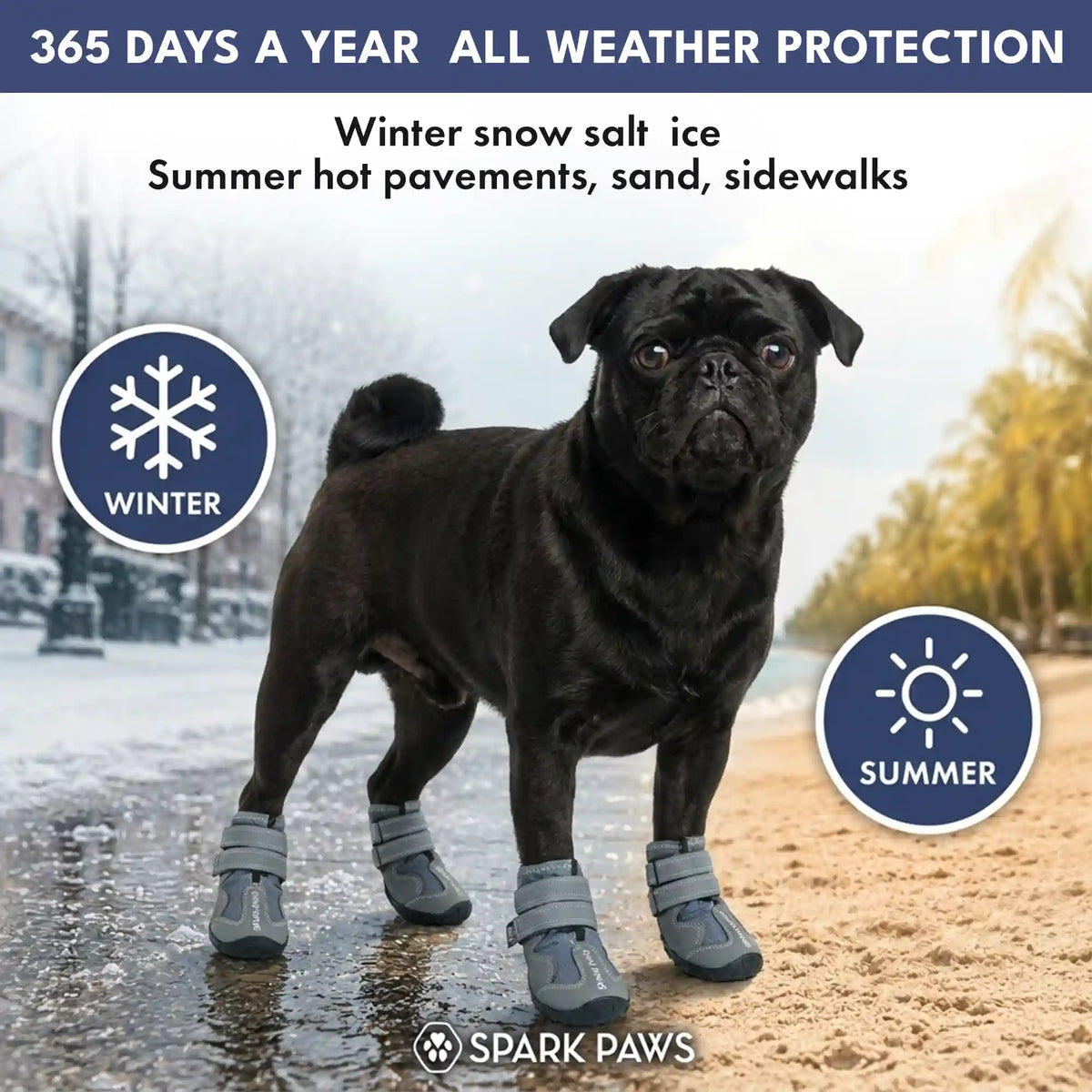 365 All-Season Dog Shoe 4PC Set