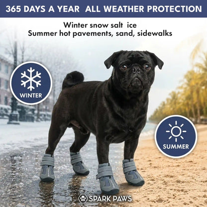 365 All-Season Dog Shoe 4PC Set