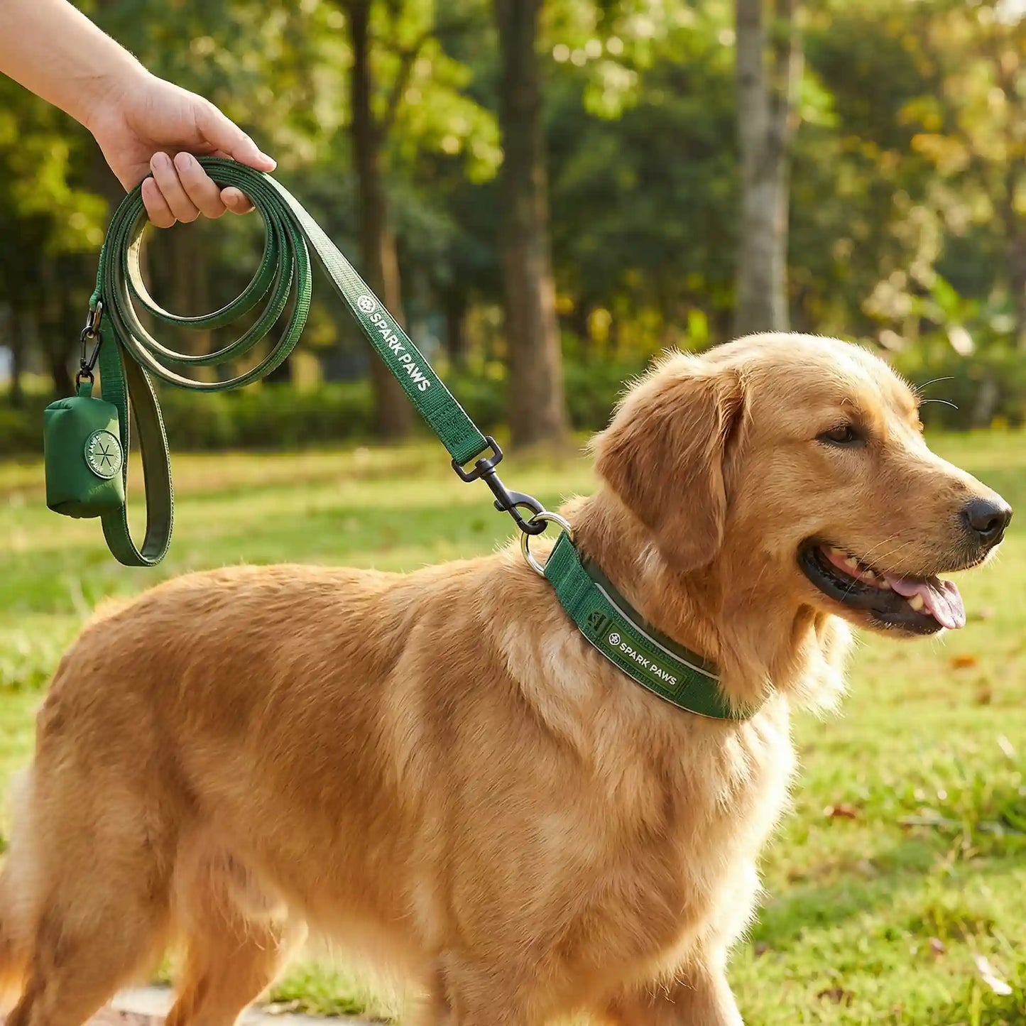 Comfort Control Collar and Multipurpose Leash Set - Green