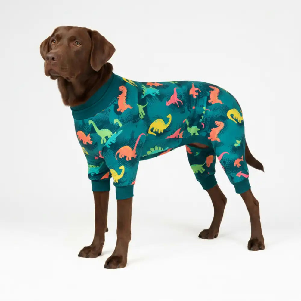 Dog Pajama - Dinosaurs