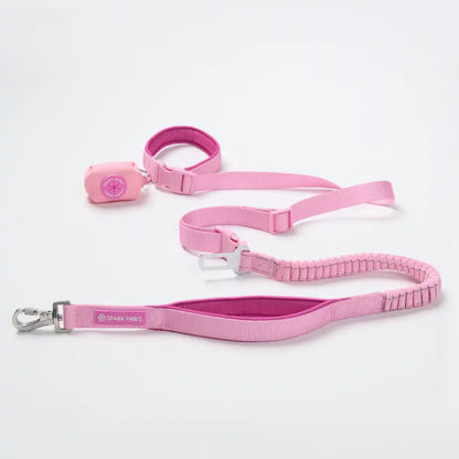 Multipurpose Seatbelt Handsfree Leash & Poop Bag Holder Set