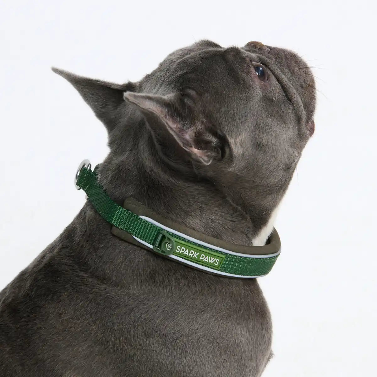Cushioned Martingale Collars