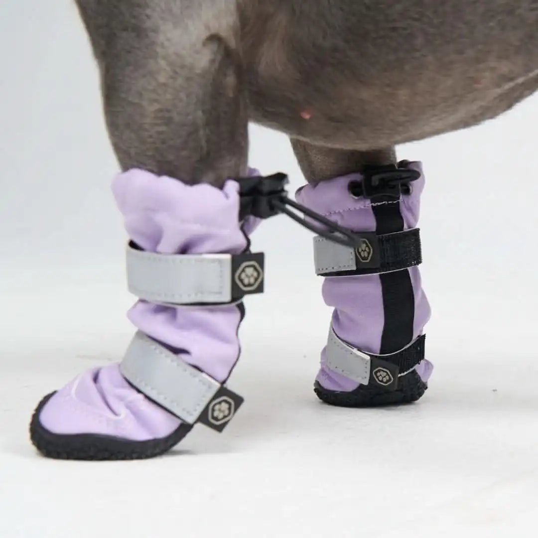Dog Rainboots, Waterproof Dog Shoes