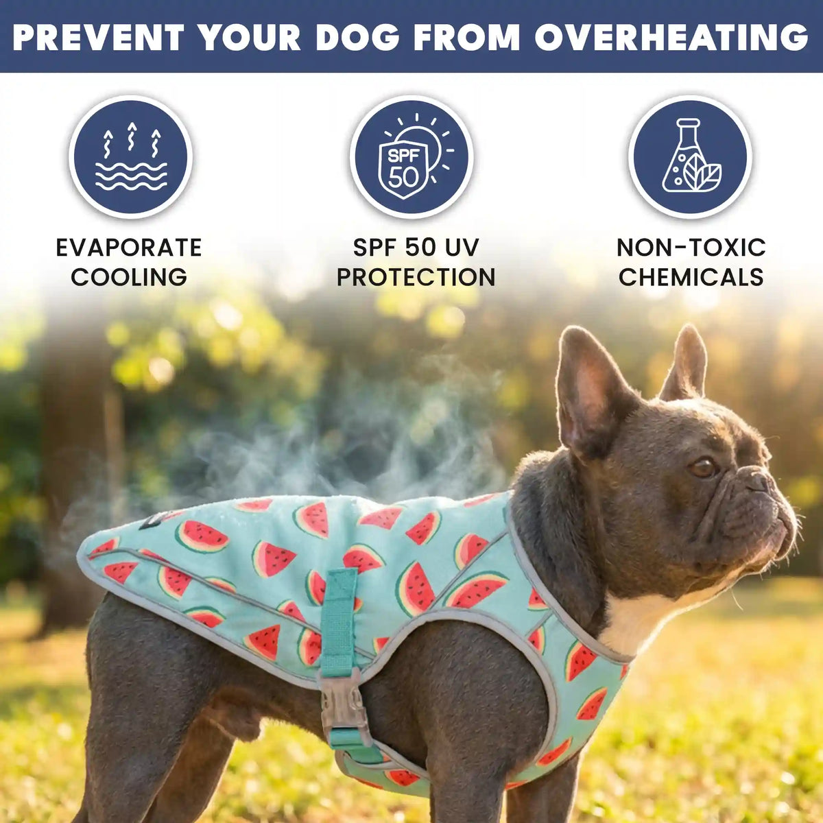 Chilltech™ Dog Cooling Vests