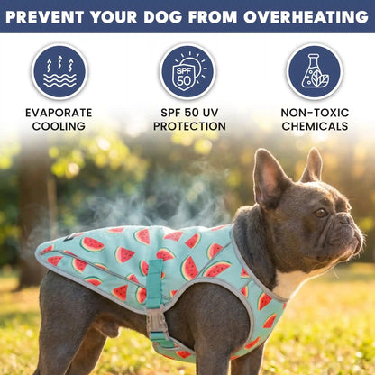 Chilltech™ Dog Cooling Vests