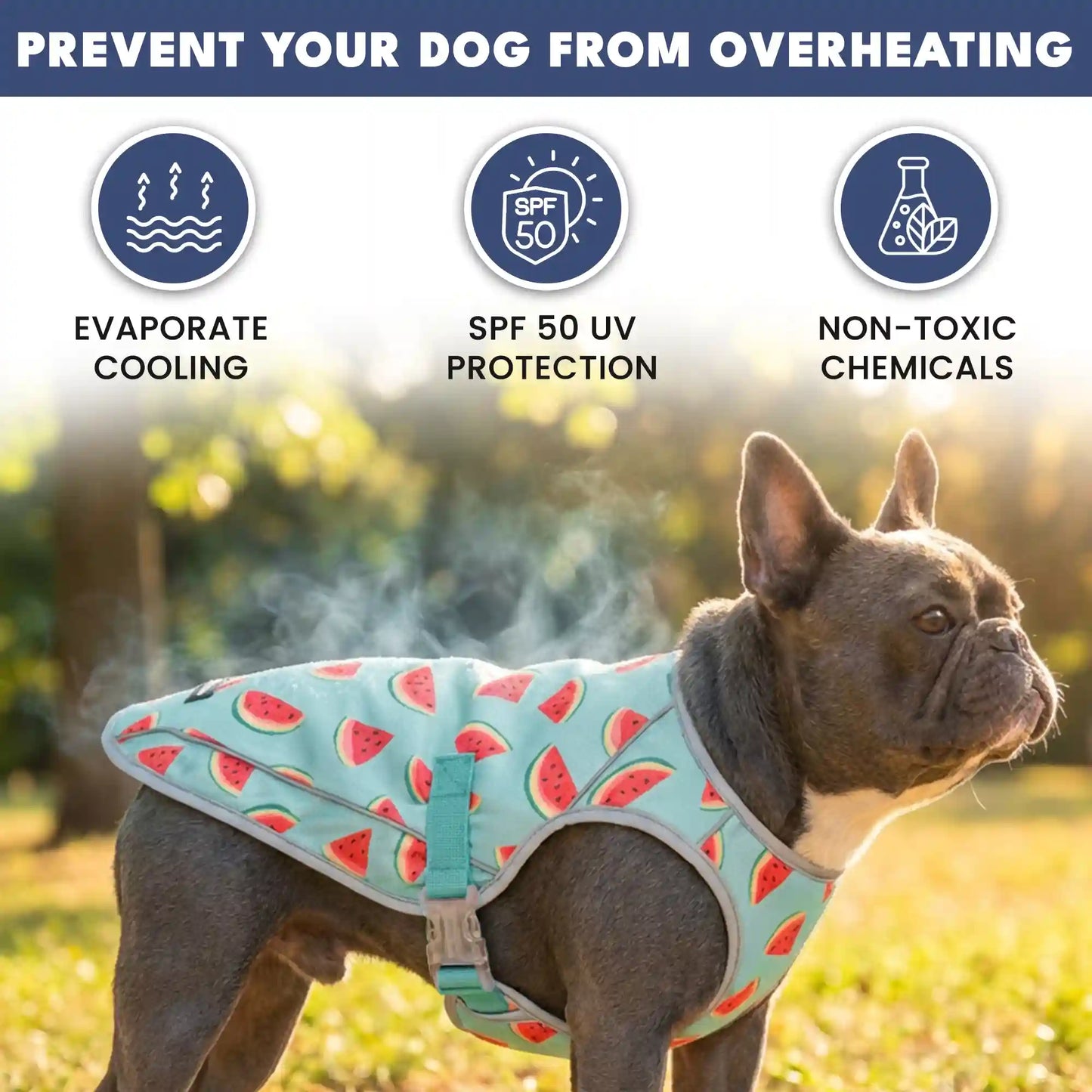 Dog Cooling Vest - Watermelon