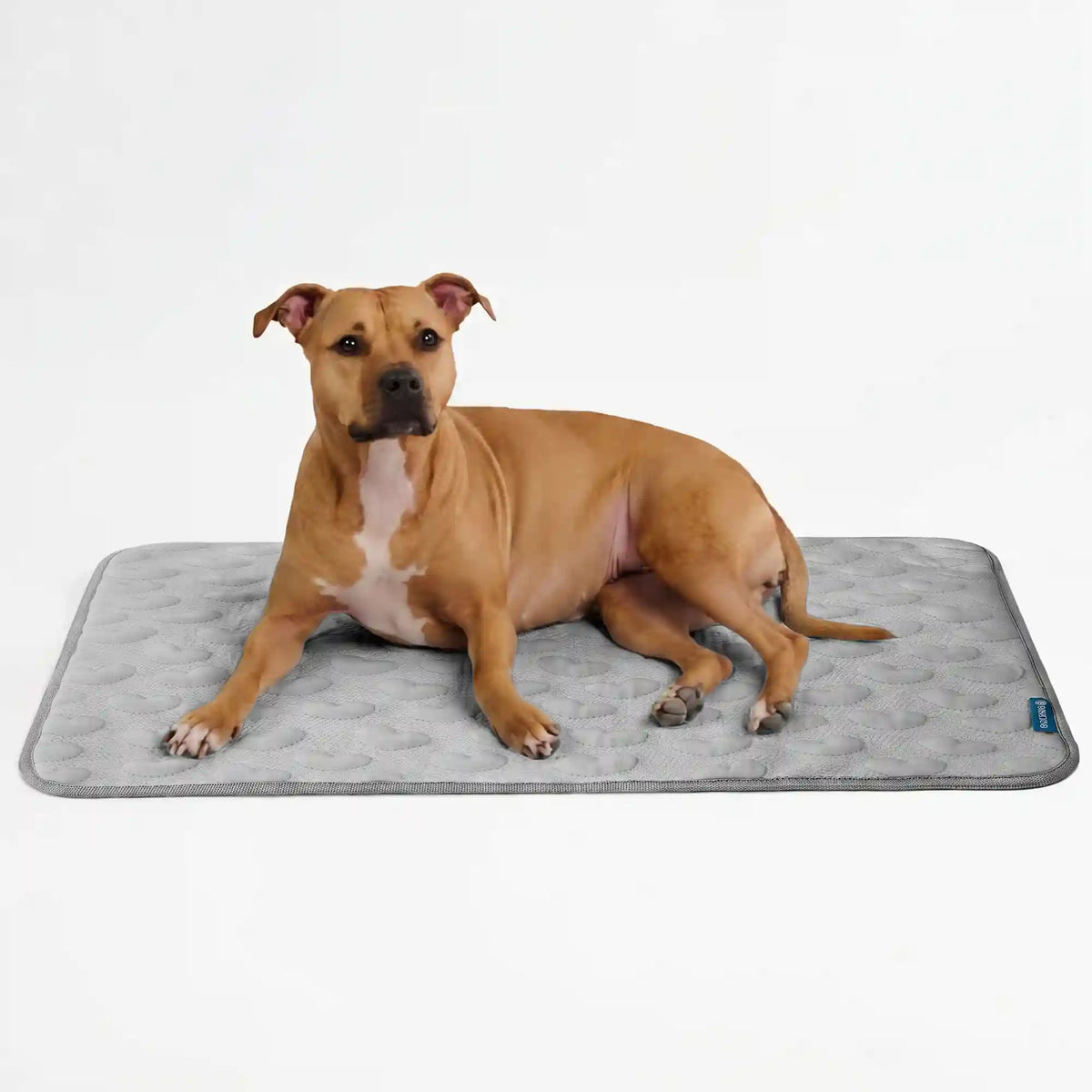 Frostcore™ Cooling Mat