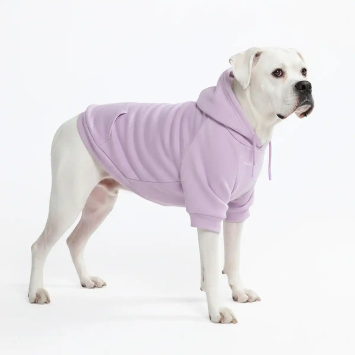 Essential Dog Hoodies