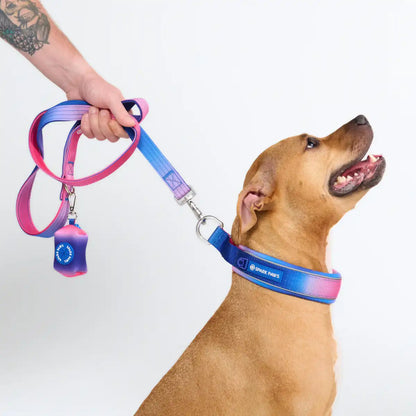 Cushioned Martingale Collar - Snow Cone