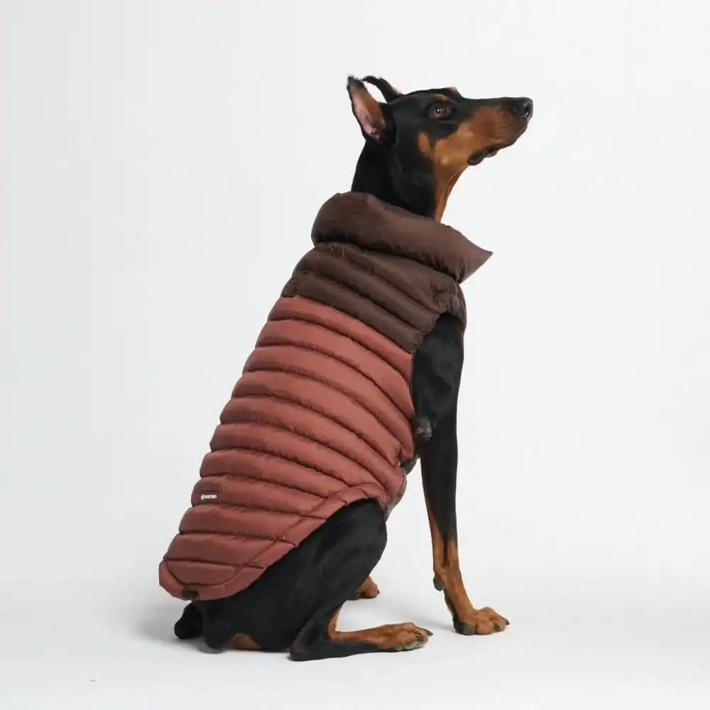 PuffShield Winter Jacket - Brown