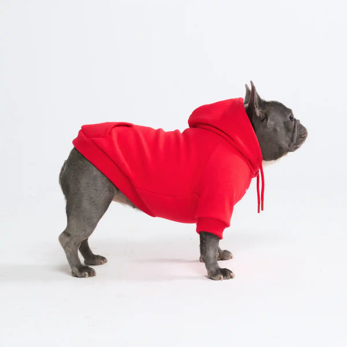 Essential Dog Hoodies