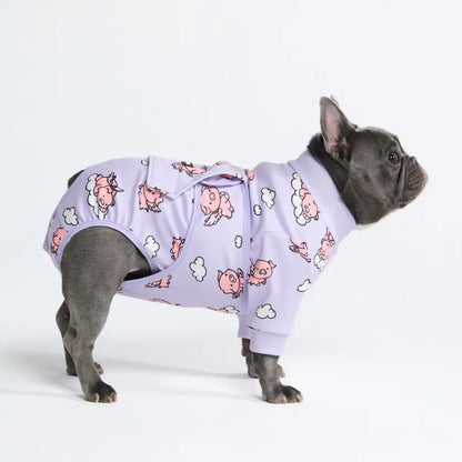 Dog Surgical Suit