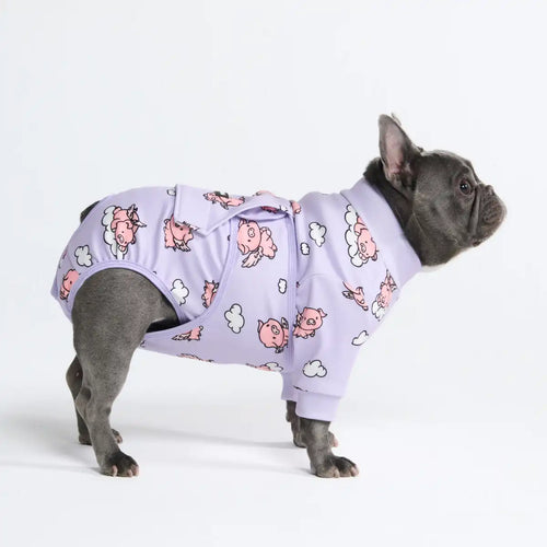 Dog Surgical Suit - When Pigs Fly