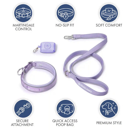 Martingale Collar Set - Lilac