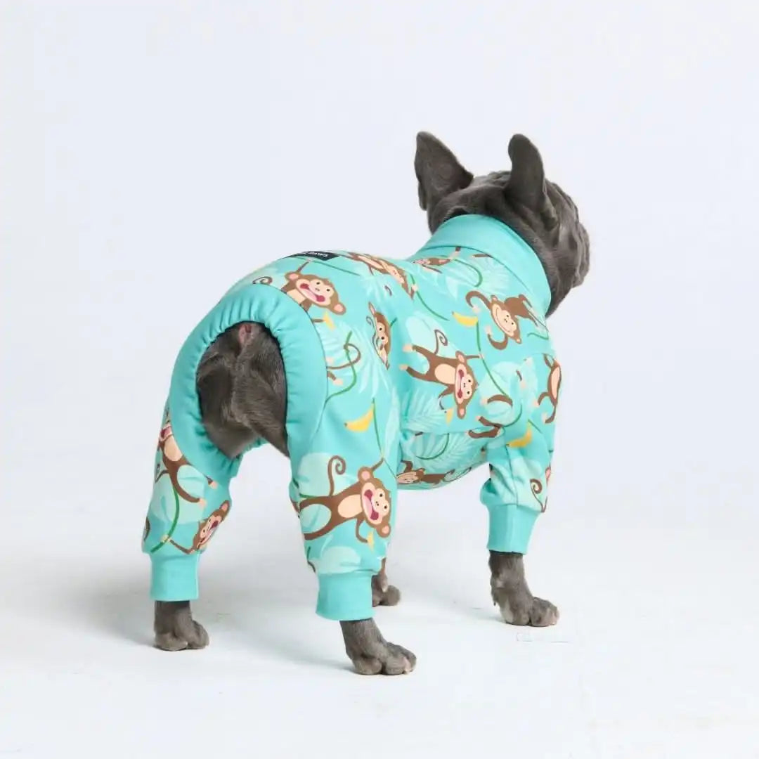 Dog Pajama Prints